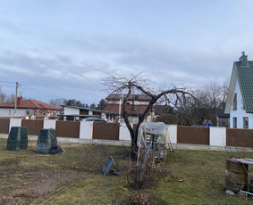 Obelis po genėjimo