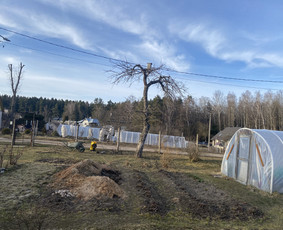 Arboristo Paslaugos.avarinių medžių pjovimas-aplinkos darbai / Rolandas Surdokas / Darbų pavyzdys ID 2691861