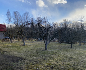 Arboristo Paslaugos.avarinių medžių pjovimas-aplinkos darbai / Rolandas Surdokas / Darbų pavyzdys ID 2691867