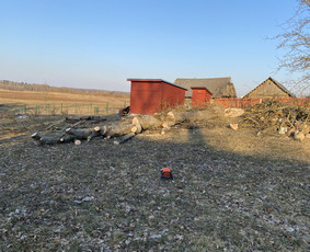 Arboristo Paslaugos.avarinių medžių pjovimas-aplinkos darbai / Rolandas Surdokas / Darbų pavyzdys ID 2691873