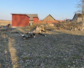 Arboristo Paslaugos.avarinių medžių pjovimas-aplinkos darbai - Apleistų sklypų tvarkymas - 4 Apleistų sklypų tvarkymas - Arboristo Paslaugos.avarinių medžių pjovimas-aplinkos darbai - 4