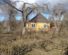 Vaismedziu Genejimas / Lina / Darbų pavyzdys ID 2693369