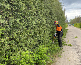 Arboristo Paslaugos.avarinių medžių pjovimas-aplinkos darbai / Rolandas Surdokas / Darbų pavyzdys ID 2695215