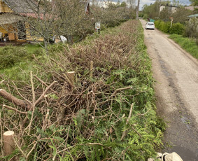 Arboristo Paslaugos.avarinių medžių pjovimas-aplinkos darbai / Rolandas Surdokas / Darbų pavyzdys ID 2695217