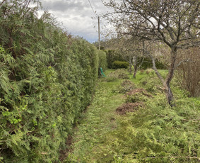 Arboristo Paslaugos.avarinių medžių pjovimas-aplinkos darbai - Apleistų sklypų tvarkymas - 1 Apleistų sklypų tvarkymas - Arboristo Paslaugos.avarinių medžių pjovimas-aplinkos darbai - 1