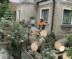 Arboristo Paslaugos.avarinių medžių pjovimas-aplinkos darbai / Rolandas Surdokas / Darbų pavyzdys ID 2695227