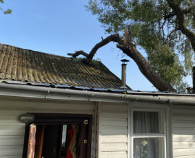 Arboristo Paslaugos.avarinių medžių pjovimas-aplinkos darbai / Rolandas Surdokas / Darbų pavyzdys ID 2695231
