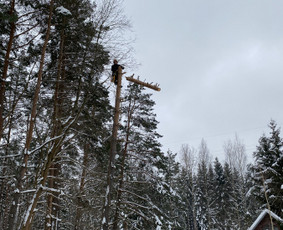 Arboristo Paslaugos.avarinių medžių pjovimas-aplinkos darbai / Rolandas Surdokas / Darbų pavyzdys ID 2695245