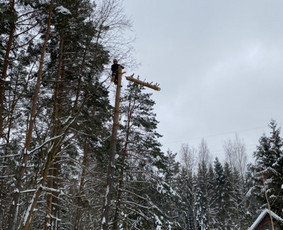 Arboristo Paslaugos.avarinių medžių pjovimas-aplinkos darbai / Rolandas Surdokas / Darbų pavyzdys ID 2695247