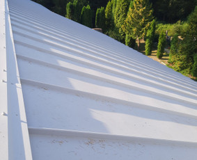 Stogų dengimas, šiltinimas pučiama vata ,stogo renovacija, / MB "Spalvotas plienas" / Darbų pavyzdys ID 2696945