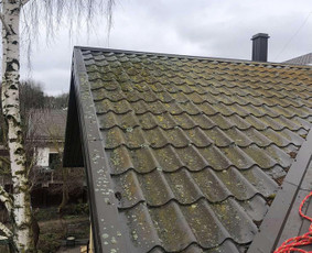 Fasadų, trinkelių, stogų, terasų plovimas ir impregnavimas - Stogų valymas ir priežiūra - 2 Stogų valymas ir priežiūra - Fasadų, trinkelių, stogų, terasų plovimas ir impregnavimas - 2