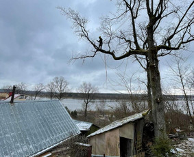 Medžių pjovimas-genėjimas/gyvatvorių karpymas - Avarinių medžių pjovimas - 3 Avarinių medžių pjovimas - Medžių pjovimas-genėjimas/gyvatvorių karpymas - 3