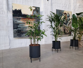 Kalėdinių Dekoracijų Nuoma / JUNGLE FLORA / Darbų pavyzdys ID 2697907