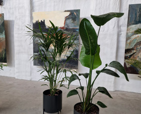 Kalėdinių Dekoracijų Nuoma / JUNGLE FLORA / Darbų pavyzdys ID 2697915