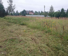 Vejos priežiūra, aplinkos tvarkymas, vejos įrengimas / Marius / Darbų pavyzdys ID 2700099