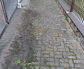 Trinkelių plovimas visoje Dzūkijoje / Rytis / Darbų pavyzdys ID 2700141