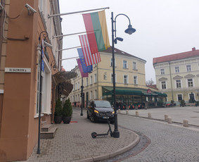 Mikroautobuso Mercedes nuoma su vairuotoju, keleivių vežimas / Gintaras / Darbų pavyzdys ID 2704631
