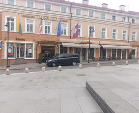 Mikroautobuso Mercedes nuoma su vairuotoju, keleivių vežimas / Gintaras / Darbų pavyzdys ID 2704635