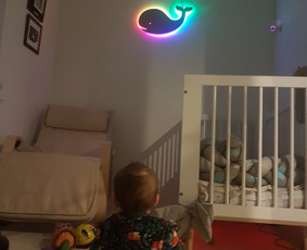 Led neon ženklų, iškabų gamyba / Virmantas / Darbų pavyzdys ID 2704865