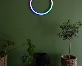 Led neon ženklų, iškabų gamyba / Virmantas / Darbų pavyzdys ID 2704901