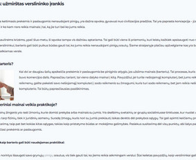 Įvairūs tekstai (ir Seo) vos nuo 3€ už vnt.! / Tomas Petrauskis / Darbų pavyzdys ID 2705455
