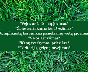 Pjovimas trimeriu, žoliapjove, traktoriuku ir kt. darbai / MB VITONA / Darbų pavyzdys ID 2705677