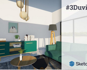 Individualūs SketchUp mokymai ir specializuotos konsultacijos.