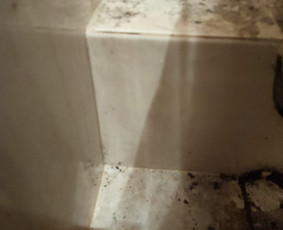 Teikiu valymo paslaugas / Irina Melnykova / Darbų pavyzdys ID 2706921