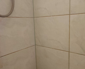 Teikiu valymo paslaugas / Irina Melnykova / Darbų pavyzdys ID 2706937