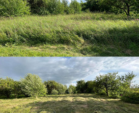 Apleistų sklypų tvarkymas - Teritorijų tvarkymas trimeriu, traktoriuku, žoliapjove ir kt - 2