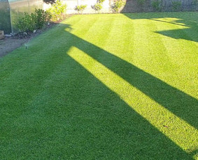 Vejos priežiūra, įrengimas - Automatinės laistymo sistemos.apželdinimo paslaugos. - 4