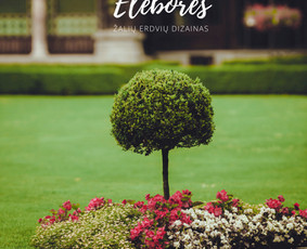 Žalių erdvių dizainas / Elebores / Darbų pavyzdys ID 2708663