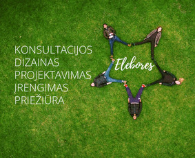 Žalių erdvių dizainas / Elebores / Darbų pavyzdys ID 2708667