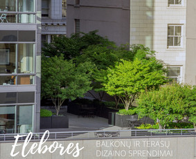 Žalių erdvių dizainas / Elebores / Darbų pavyzdys ID 2708671