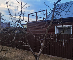 Vaismedžių genėjimas, medžių pjovimas, gyvatvorių genėjimas - Vaismedžių genėjimas - 3 Vaismedžių genėjimas - Vaismedžių genėjimas, medžių pjovimas, gyvatvorių genėjimas - 3