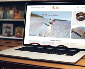 Internetinių svetainių ir el. parduotuvių kūrimas / Pulseweb / Darbų pavyzdys ID 2708883