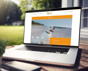 Internetinių svetainių ir el. parduotuvių kūrimas / Pulseweb / Darbų pavyzdys ID 2708889