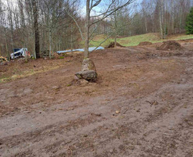Vejos skarifikavimas, aeravimas, tręšimas, kiti kiemo darbai / Tavo kiemas - mano rūpestis / Darbų pavyzdys ID 2710191