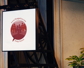 Logotipų kūrimas - Grafinis dizainas - Maketavimas / Ganna Pakhomova / Darbų pavyzdys ID 2710251