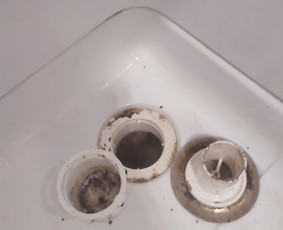 Teikiu valymo paslaugas - Namų valymas, tvarkymas - 1 Namų valymas, tvarkymas - Teikiu valymo paslaugas - 1