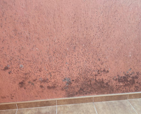 Generalinis patalpų valymas - Teikiu valymo paslaugas - 1