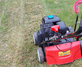 Vejos priežiūra, įrengimas - Vejos skarifikavimas, aeravimas, tręšimas, kiti kiemo darbai - 4