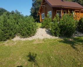 Vejos įrengimas, trinkelių klojimas, kelių statyba. - Augalų ir medelių sodinimas - 2 Augalų ir medelių sodinimas - Vejos įrengimas, trinkelių klojimas, kelių statyba. - 2