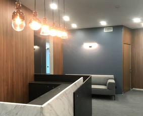 Interjero dizainerė Vilniuje / Jekaterina / Darbų pavyzdys ID 486935