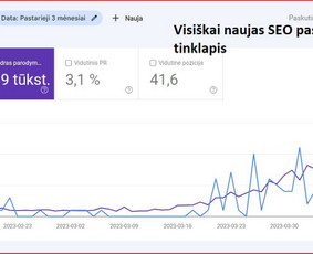 Seo paslaugos, Search ir Ai optimizavimas / Augustinas Sokolenko / Darbų pavyzdys ID 2717001