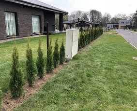 Vejos įrengimas, ruloninė veja, laistymas - Statybos, apdaila - 3 Statybos, apdaila - Vejos įrengimas, ruloninė veja, laistymas - 3