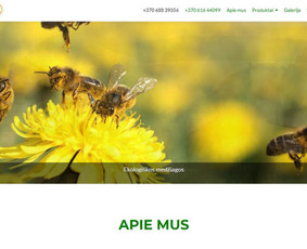 Tinklapių kūrimas, priežiūra, programavimas / Edvardas / Darbų pavyzdys ID 488249