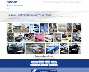 Bluejuice Hostingas, Svetainių kūrimas, administravimas, Seo / MB Bluejuice / Darbų pavyzdys ID 2723431