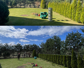 Medžių pjovimas-genėjimas/gyvatvorių karpymas / MB Medžio Kvapas / Darbų pavyzdys ID 2728707