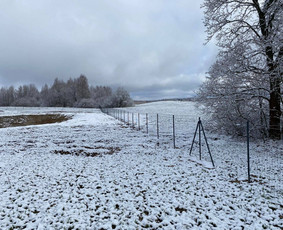 Tvorų, vartų/vartelių montavimas, Betonavimas - Tinklinės tvoros - 1 Tinklinės tvoros - Tvorų, vartų/vartelių montavimas, Betonavimas - 1